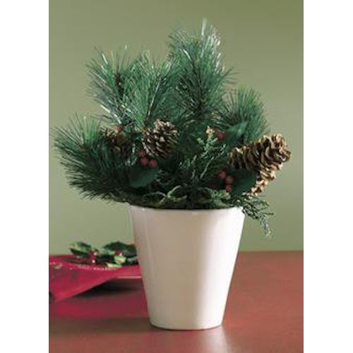 tag Winter Sprig Potted Evergreen