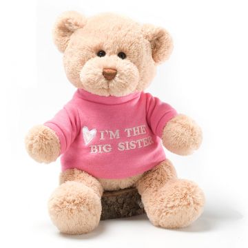GUND I'm the Big Sister Teddy Bear with Embroidered Pink Shirt