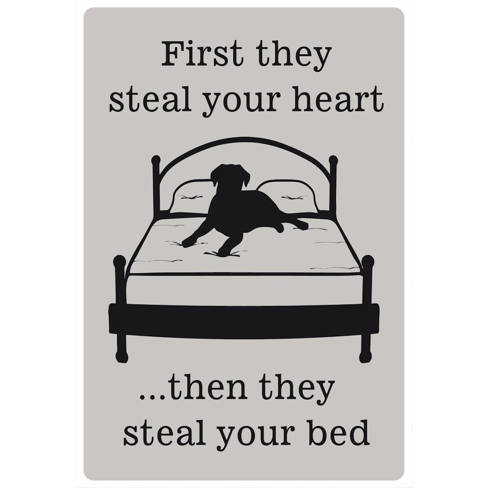 My Word! First They Steal your Heart 5.5 x 8 Wooden Sign