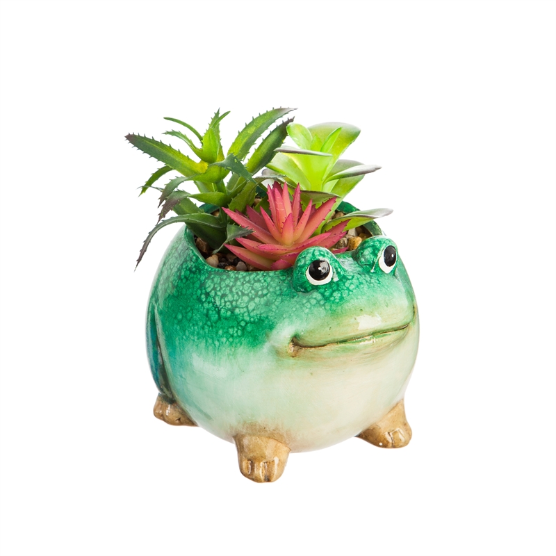 Evergreen Ceramic Frog Planter with Succulent