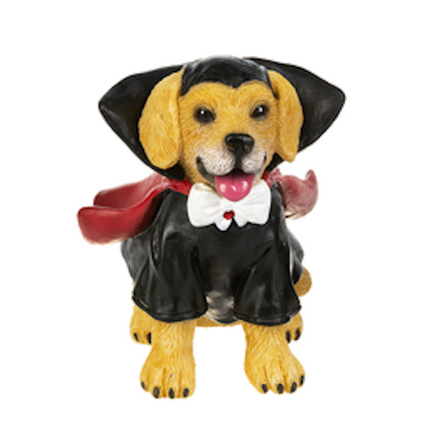 Ganz Hilarious Halloween Dog - Dracula