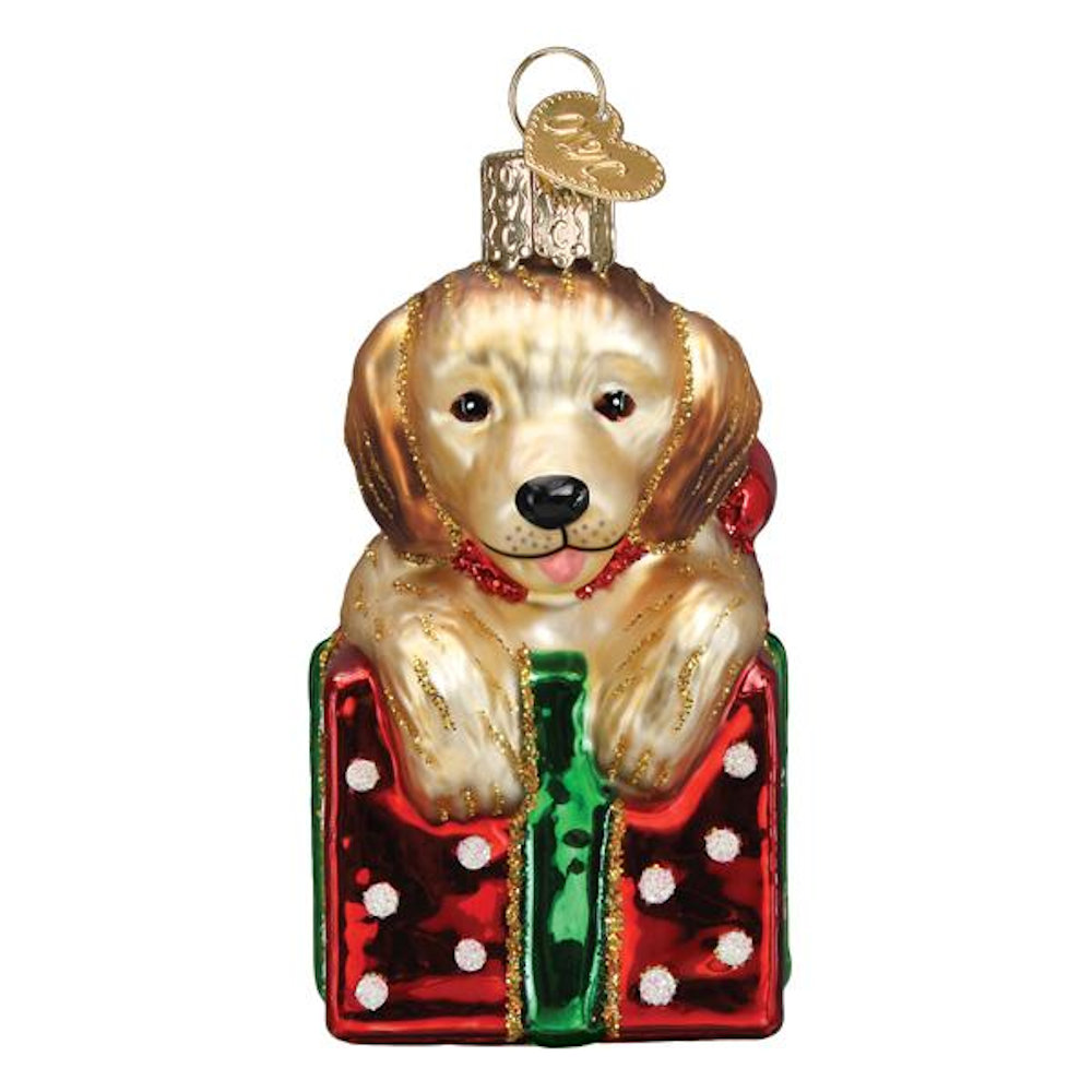Old World Christmas Golden Retriever Puppy Surprise Ornament