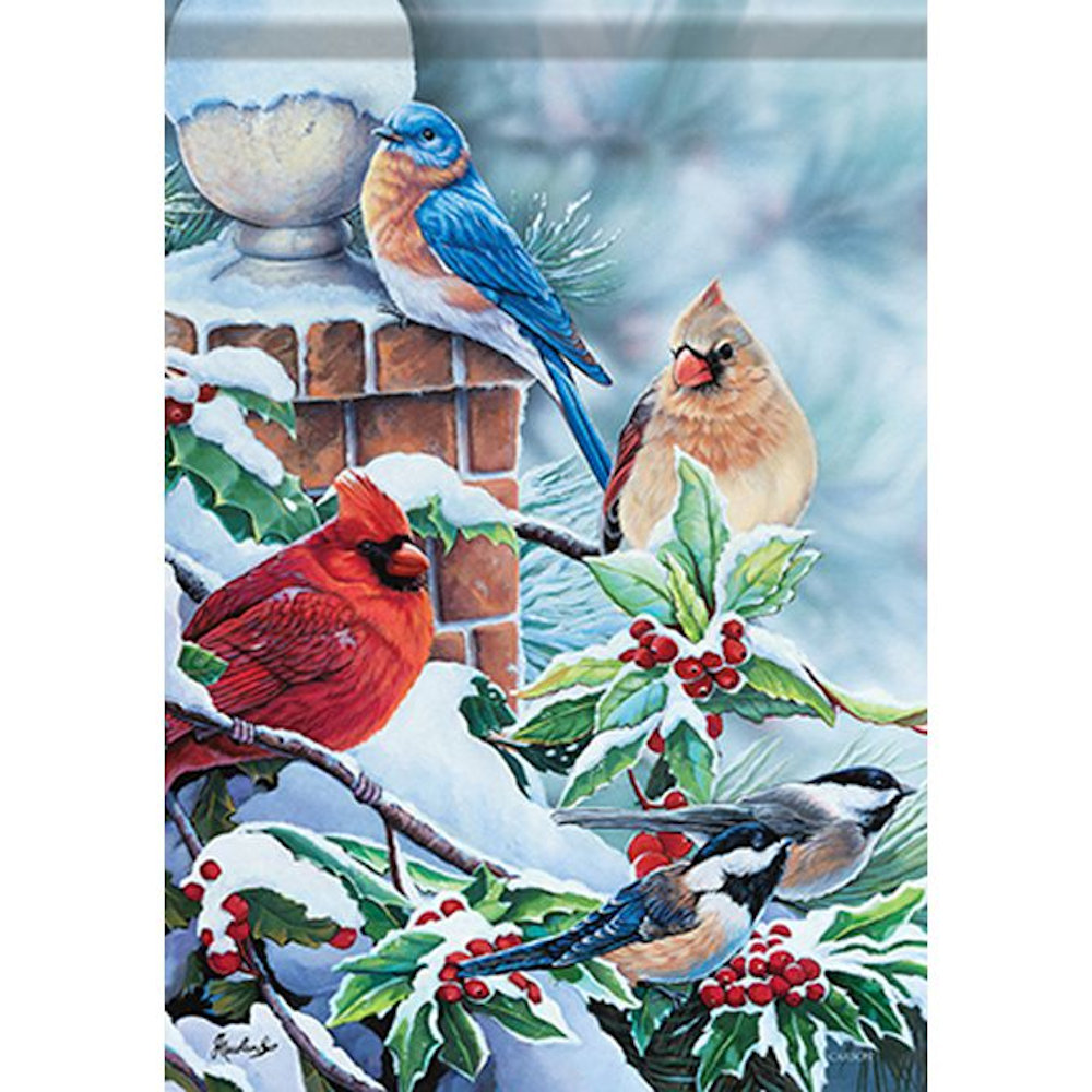Carson Home Accents Songbirds In Snow Large House Flag
