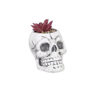 Young's Inc Ceramic Halloween Skull Planter with Succulent - White