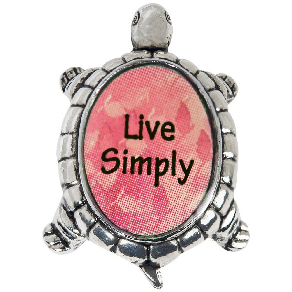Ganz Lucky Turtle Charm - Live Simply