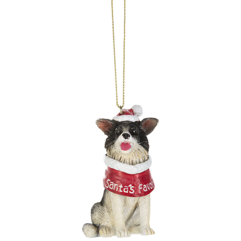 Ganz Santa Dog is Coming to Town Ornament - Border Collie