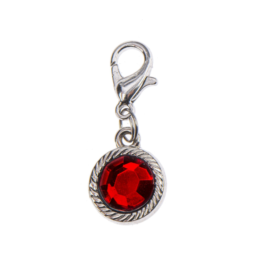 Ganz Crystal Expressions Root In Love Birthstone Charm - January