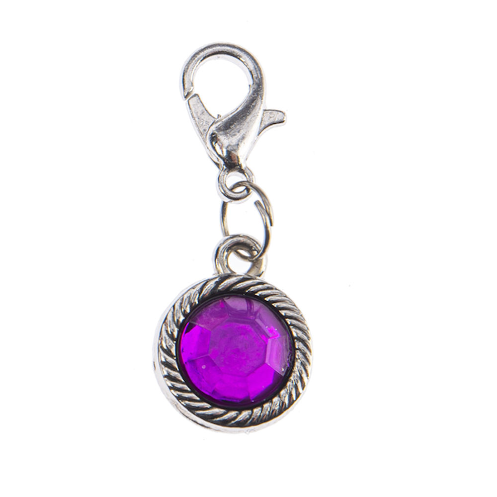 Ganz Crystal Expressions Root In Love Birthstone Charm - February