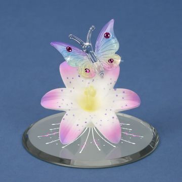 Glass Baron Butterfly, Lavender Lily