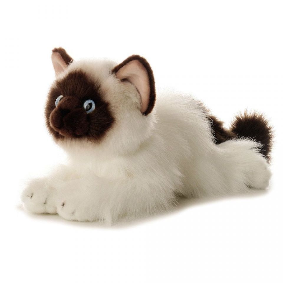 Fitzula's Gift Shop: Aurora Flopsie Bella the Birman Plush Cat 12 Stuffed  Animal