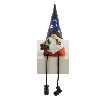 Ganz LED Light Up Gnome Shelfsitter - Boy