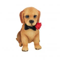 Ganz Pawsitively Yours Forever Dog In Costume Wearing Bowtie