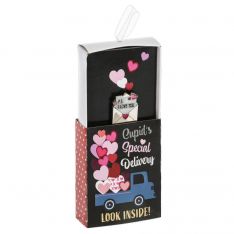 Ganz Love Mail Matchbox Pin Cupid's Special Delivery